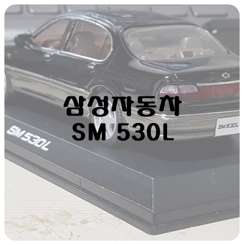 SAMSUNG SM 530L [Custom]