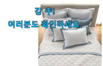 대박특가 크리스피바바 방석 아이템 안사곤 못배기겠어요 ㅋㅋ 대박특가 크리스피바바 방석 아이템 안사곤 못배기겠어요 ㅋㅋ