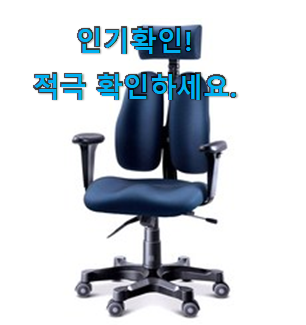  꼭 사고싶은 듀오백 의자 꿀템 선물로도 좋을거같네요