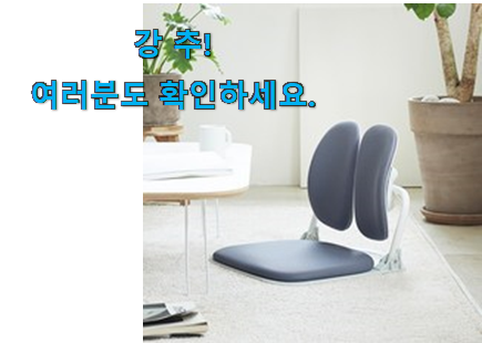 더 좋아진 듀오백 좌식의자 구매 추천합니다! 더 좋아진 듀오백 좌식의자 구매 추천합니다!