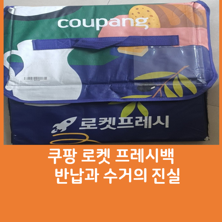  쿠팡 프레시백 반납과 수거가 지연되는 이유와 분실 책임