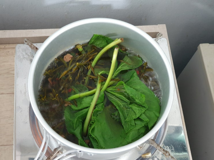  곰취 먹는방법 (곰취라면)