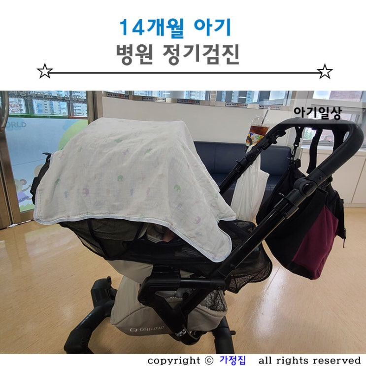 14개월 아기 ::  정기검진