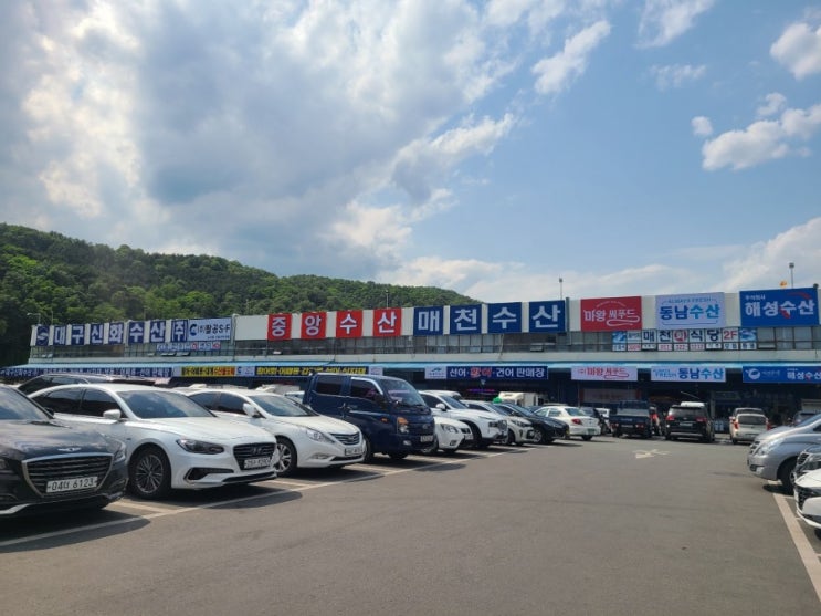 대구 매천시장 회 포장 후기(내돈내산) 대구 매천시장 회 포장 후기(내돈내산)