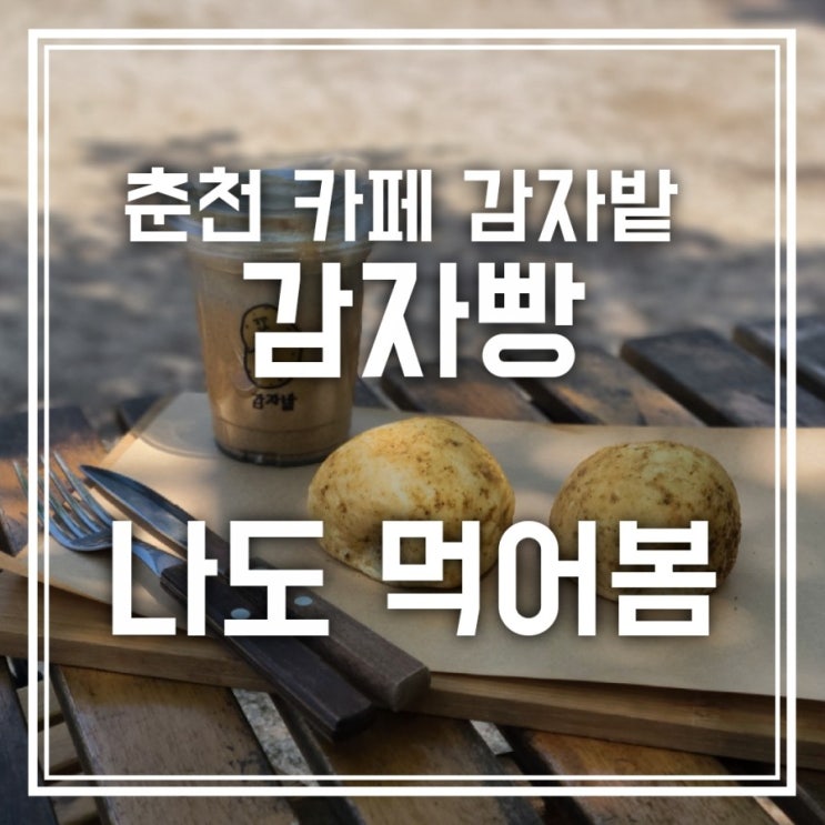 춘천 카페 감자밭 여기서 살고 싶다