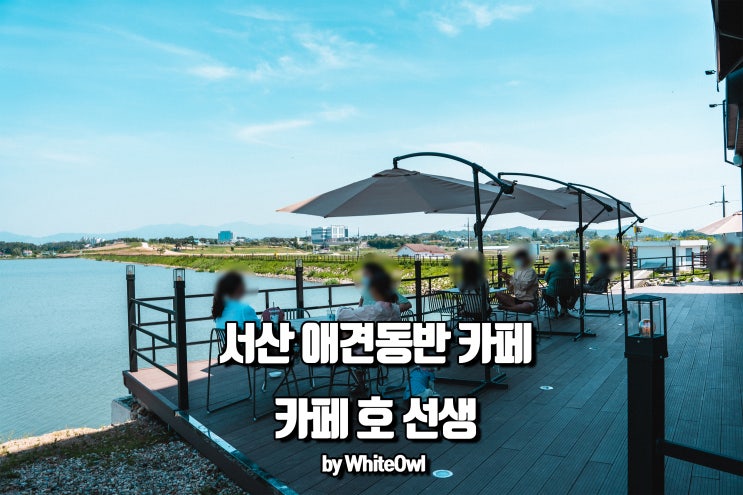  서산 잠홍저수지 근처 애견동반카페 안녕 호 선생