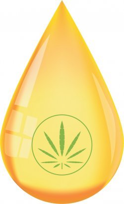  대마종자유 대마오일 햄프씨드 효과(효능) 및 성분 정보 총정리(추전 제품 까지)
