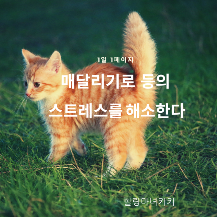  1일 1페이지 ㅡ 68일 늘어지듯 매달려 등의 스트레스를 해소한다