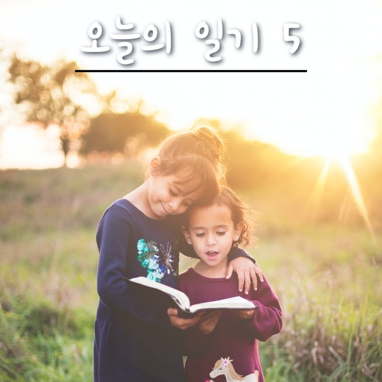  오늘일기, 금쪽같은 내새끼는 정말 금쪽같은가??