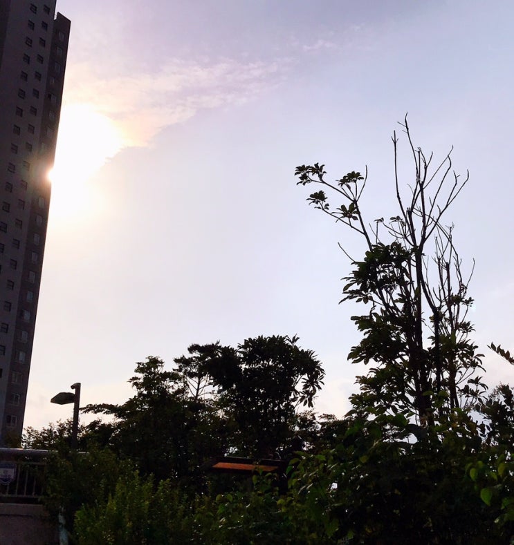  다시, 알찬하루 만들기~ (6일차)