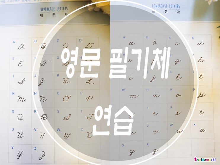  예쁜 영어.영문필기체 대문자 소문자 연습 책 추천 바르다