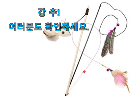 명품 고양이 장난감 제품 추천합니다. 명품 고양이 장난감 제품 추천합니다.