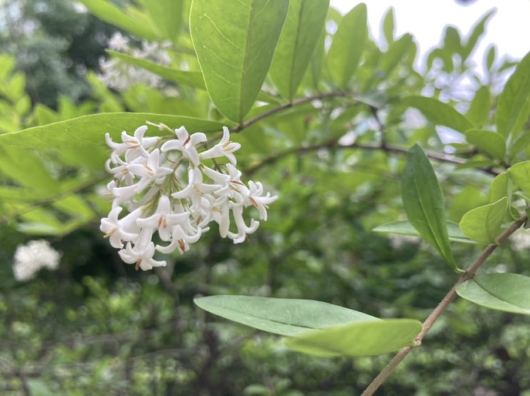  휴식