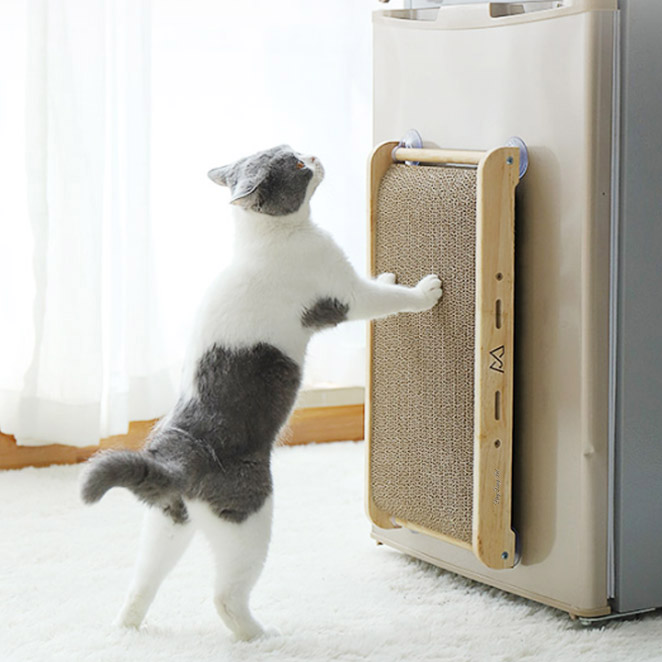 선호도 높은 딩동펫 반려동물 고양이 수직스크래쳐, 혼합색상, 1개 ···