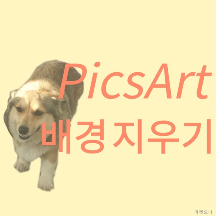  픽스아트로 사진 배경지우기 무료로 가능해요!
