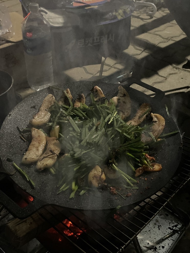  공개하는 일상 일상