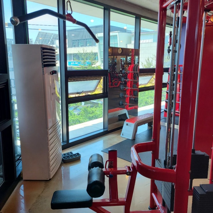  오늘 운동 일기(21.05.29 토요일)