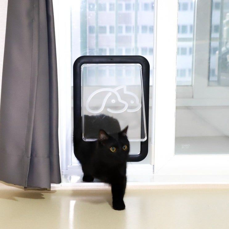 최근 인기있는 단짝s 토리앙 페도아 펫도어 고양이방묘창 고양이방묘문 개구멍 베란다펫도어 개문 견문 추천합니다