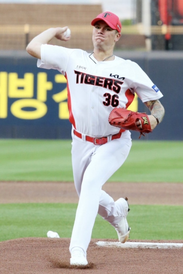 KBO 프로야구 분석 29일 토요일 LG vs 키움 롯데 vs NC 삼성 vs 두산 KIA기아 vs KT 한화 vs SSG