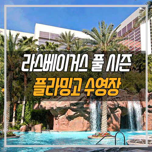 라스베가스 여행 정보] 라스베이거스 플라밍고 호텔 수영장 / 플라밍고 비치 클럽 / 플라밍고 고 풀 : 네이버 블로그