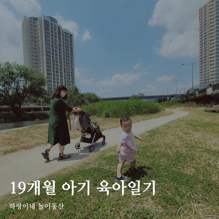  19개월 아기 성장발달 육아일기 599일 / 감스트 나락송, 동전습진과 아토피, 광주천변 산책, 버터밥 먹방