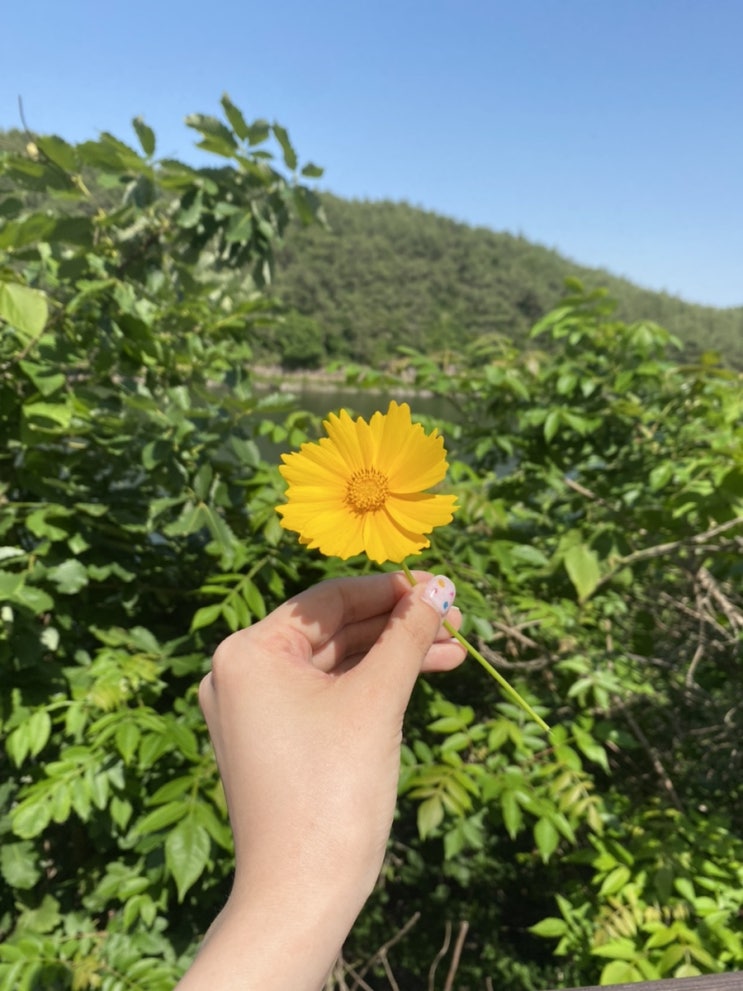  오늘의 산책길
