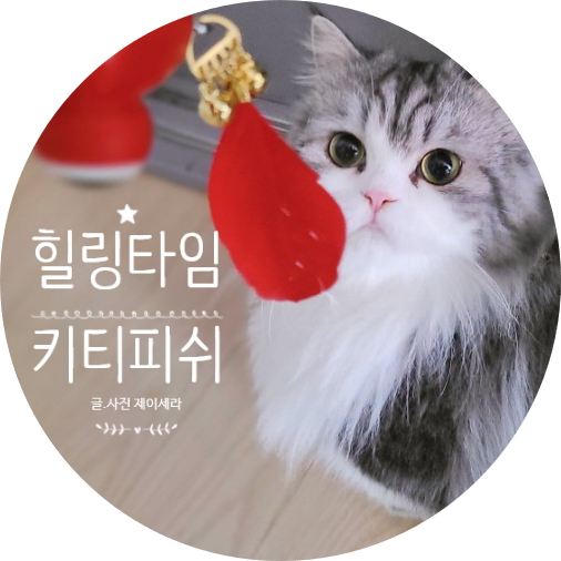 지금까지 이런 고양이 자동 장난감은 없었다 열무콩보리밥의 select.  (ft. 키티피쉬)
