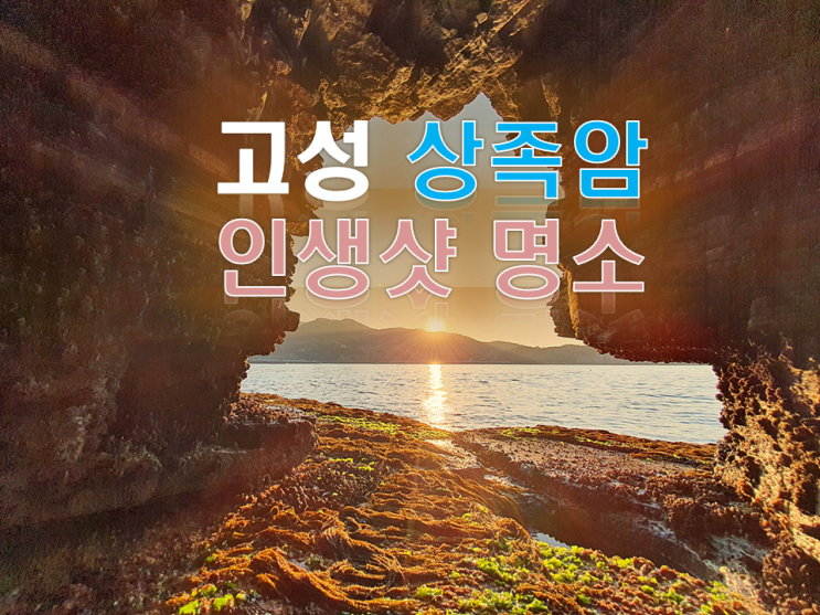  고성 상족암군립공원 공룡화석박물관 인생샷 찍기