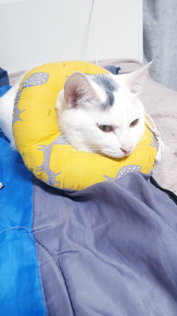  오늘일기 210529