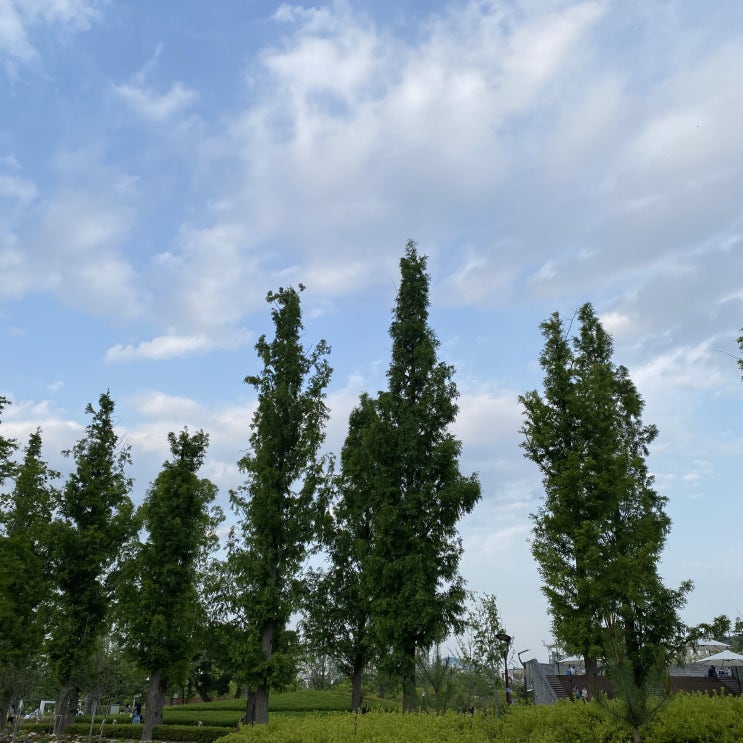  2021.05.29.토 오늘일기 ️