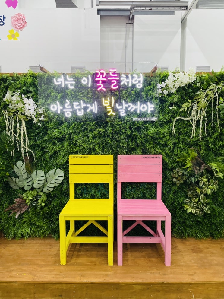  대구 꽃 박람회 재밌게 관람하는 법 | 오늘일기 | 5월 29일