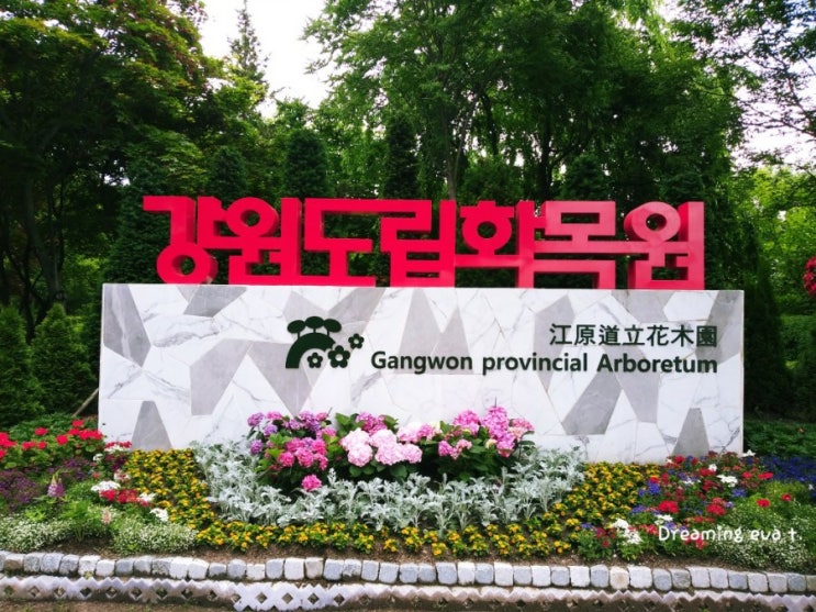  2천원의 행복강원도립화목원 랜선여행