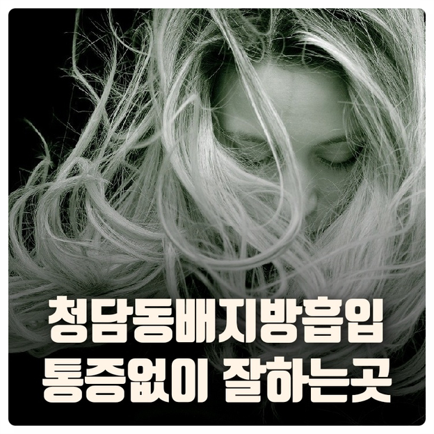 청담동배지방흡입 통증없이 잘하는곳 알려드려요 청담동배지방흡입 통증없이 잘하는곳 알려드려요