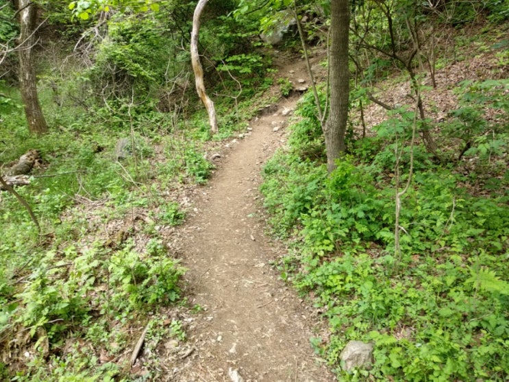 우정이란 산길과도 같아서