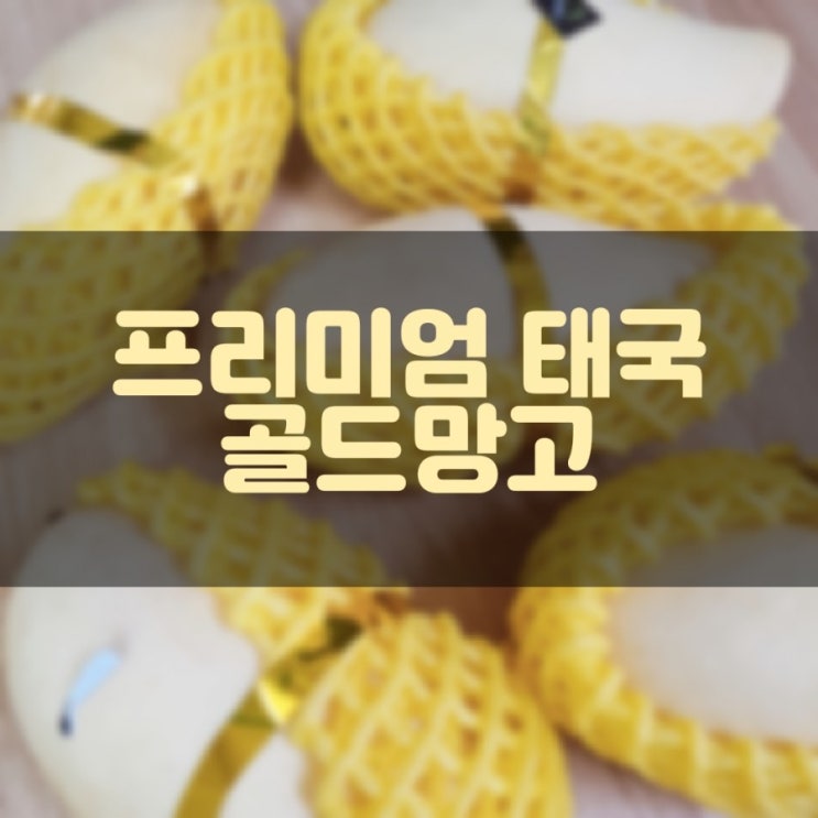  온브릭스 프리미엄 태국 골드망고