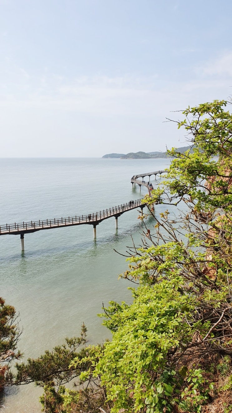  무의도 하나개해수욕장 무의도 해안산책로(무의대교)