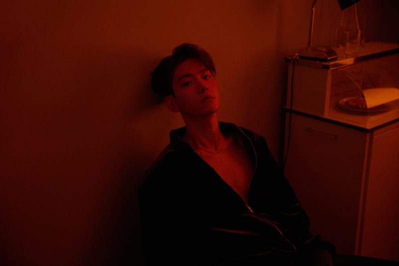 [앨범 트랙 리뷰 2 - 백현의 사랑노래 'Bungee'] 백현 (BAEKHYUN) - Delight - The 2nd Mini Album