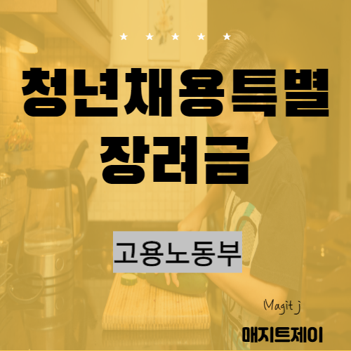  청년채용특별장려금 추진계획_고용노동부