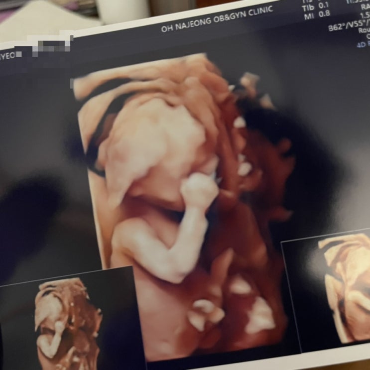  5월29일 오늘일기.