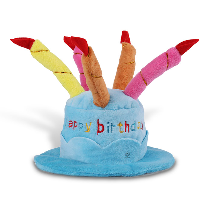 최근 인기있는 딩동펫 반려동물 생일파티 케이크 모자, 블루 추천해요