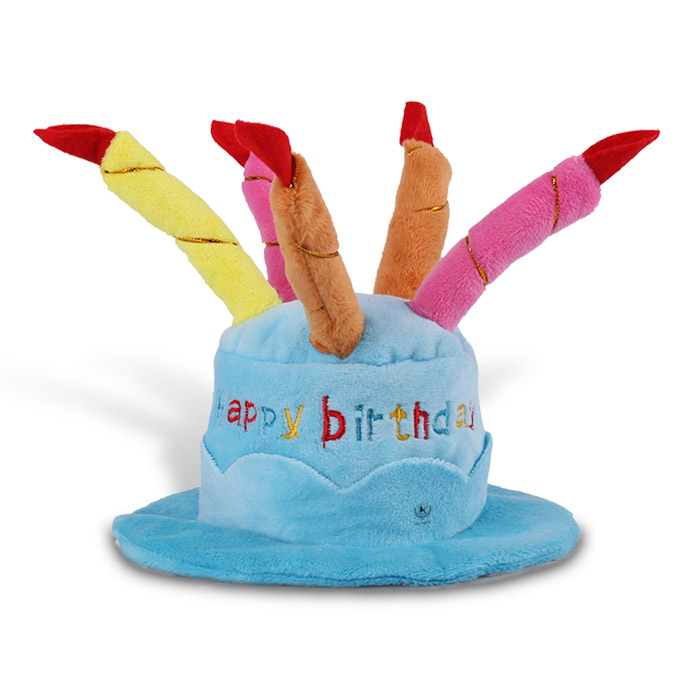 최근 인기있는 딩동펫 반려동물 생일파티 케이크 모자, 블루 추천해요 최근 인기있는 딩동펫 반려동물 생일파티 케이크 모자, 블루 추천해요