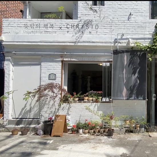  비 안온다더니, 다시 오후에 온다더니