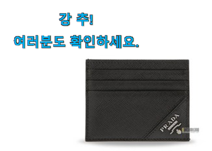 실속있는 프라다 카드지갑 목록 요즘 이거 없이는 못살겠어요 진심 실속있는 프라다 카드지갑 목록 요즘 이거 없이는 못살겠어요 진심