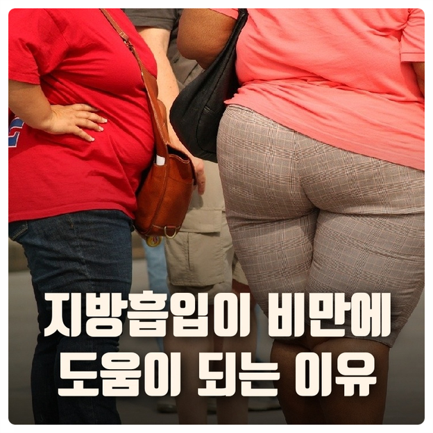 지방흡입이 비만에 도움이 되는 이유