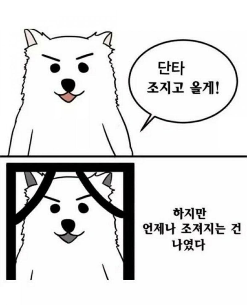 주식 웃픈짤 : 네이버 블로그