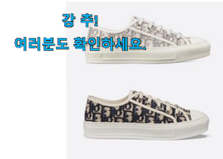 SNS대박 디올스니커즈 아이템 부모님도 맘에 들어해요 SNS대박 디올스니커즈 아이템 부모님도 맘에 들어해요