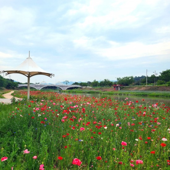  [임실/오수면] 임실가볼만한곳 오수의견 공원, 관광지 추천