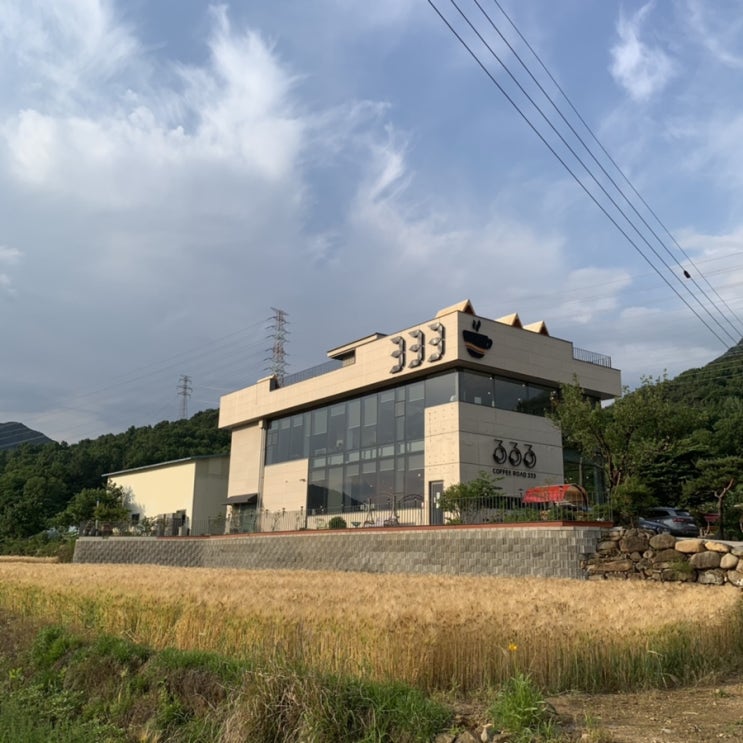  대구 달성군 현풍 테크노폴리스에 위치한 자연친화적 카페 [카페로드333] 