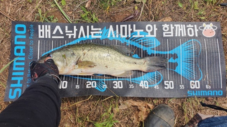  [충청권] 전날에 이어 런커배스와 마릿수! 빅베의 유혹...