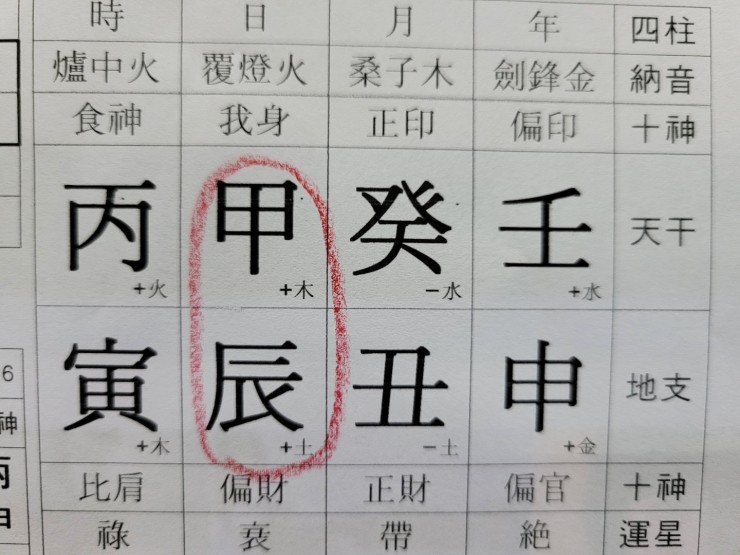  갑진일주, 조선시대 양반의 이중성,백호대살과 정관의 만남